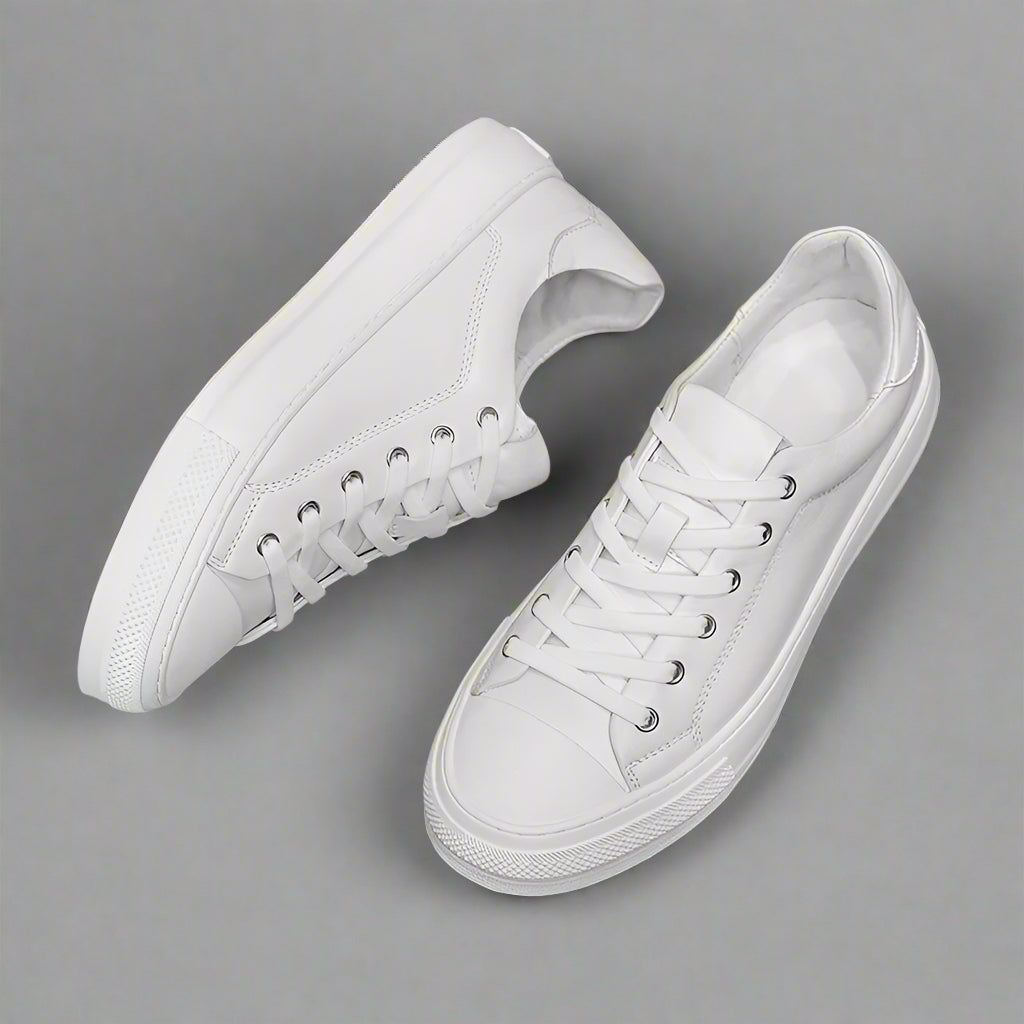 BUCKTOWN LEATHER LOW TOPS