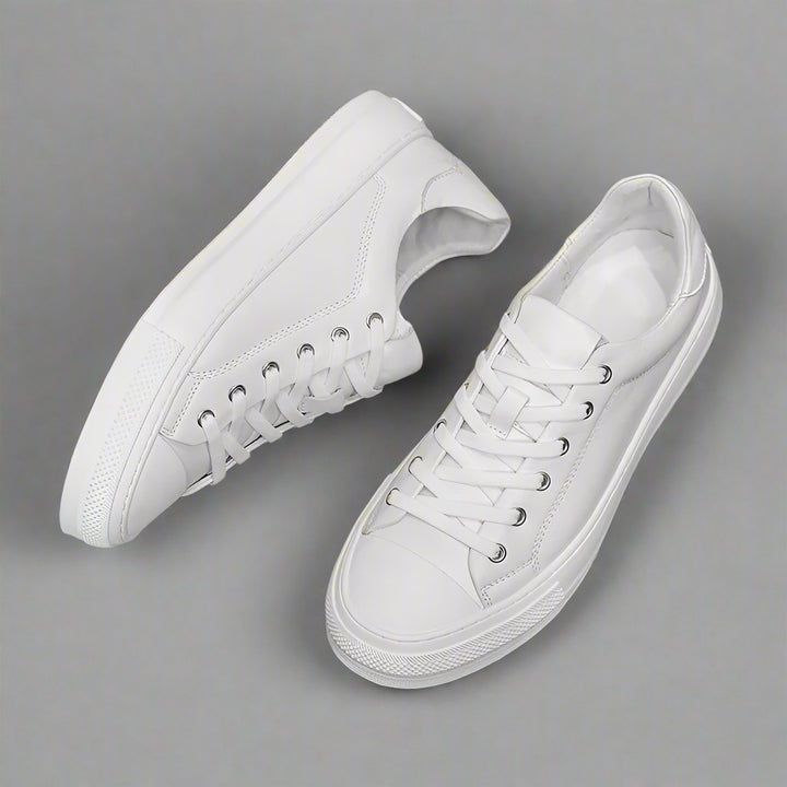 BUCKTOWN LEATHER LOW TOPS
