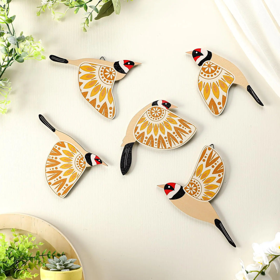 WING & WONDER SET (5PCS)